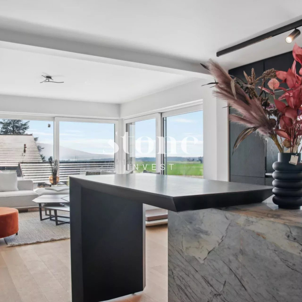 Maison à louer - Chéserex