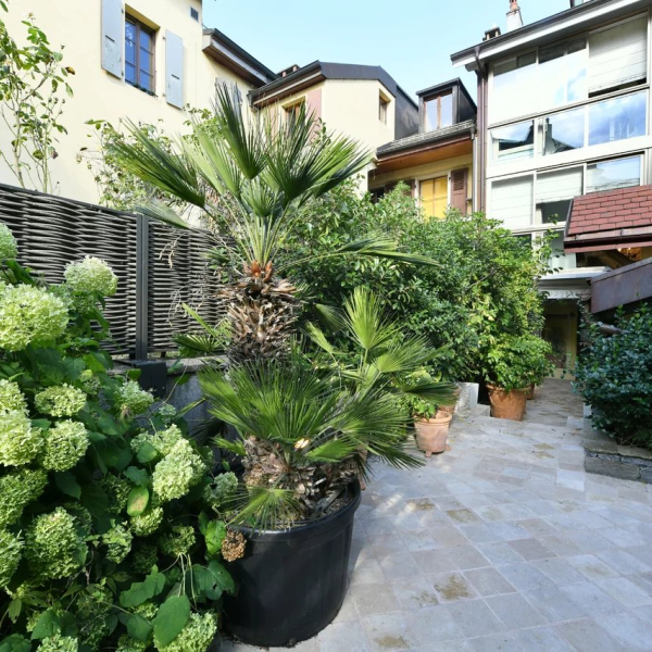 Appartement à vendre - Carouge
