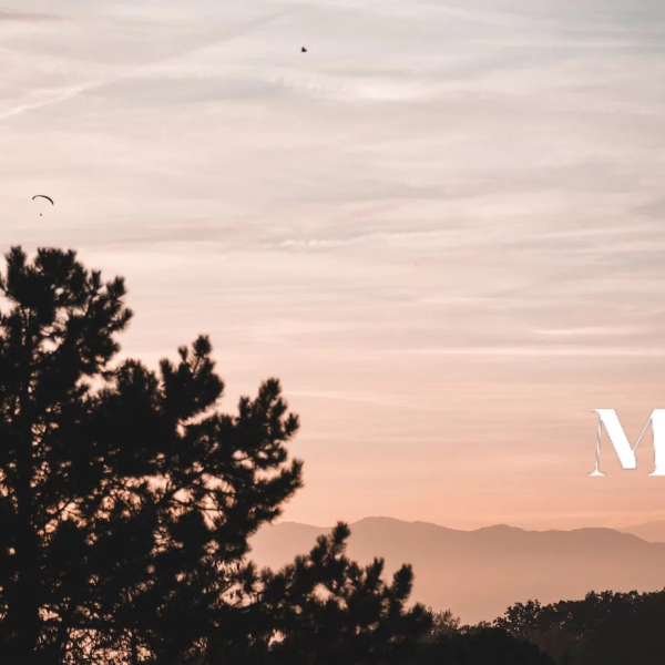 House for sale - Collonge-Bellerive